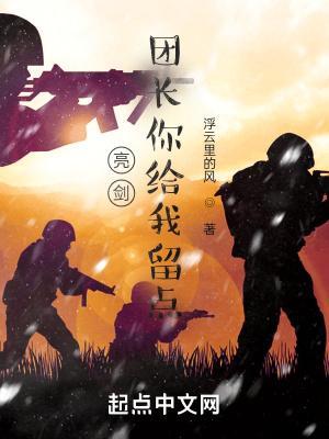 亮剑团长你给我留点校对