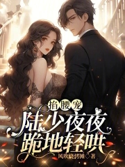 掐腰宠,陆少夜夜跪地轻哄